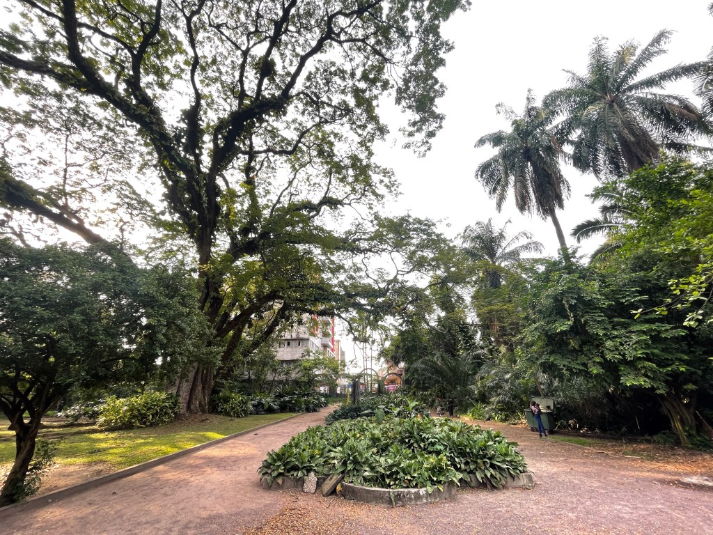 Kinshasa botanical garden