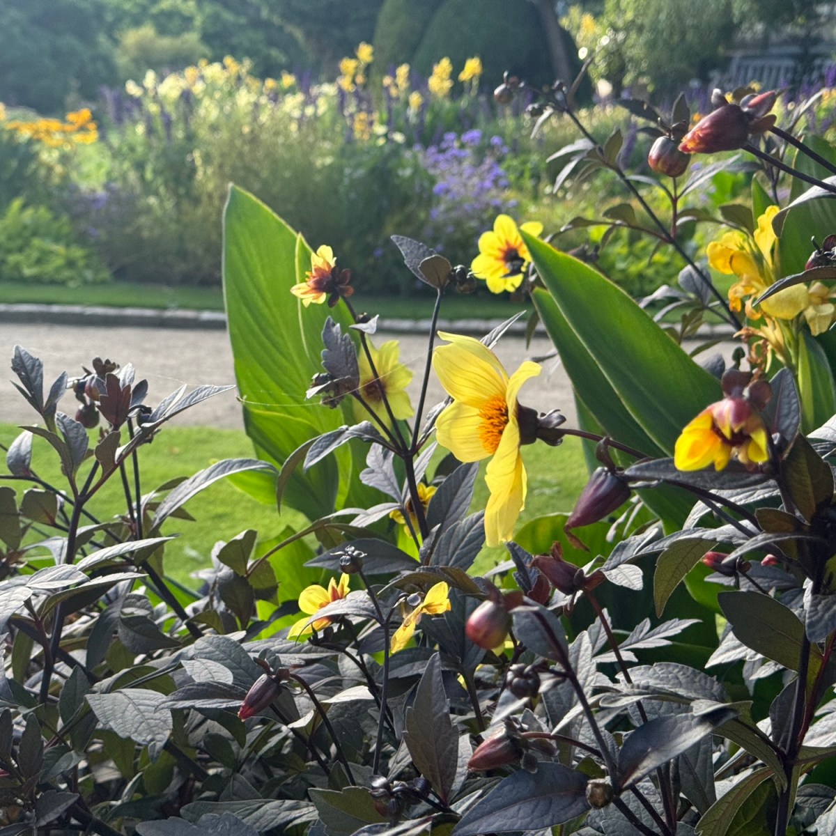 A little peace and quiet in the Kruidtuin of&nbsp;Leuven