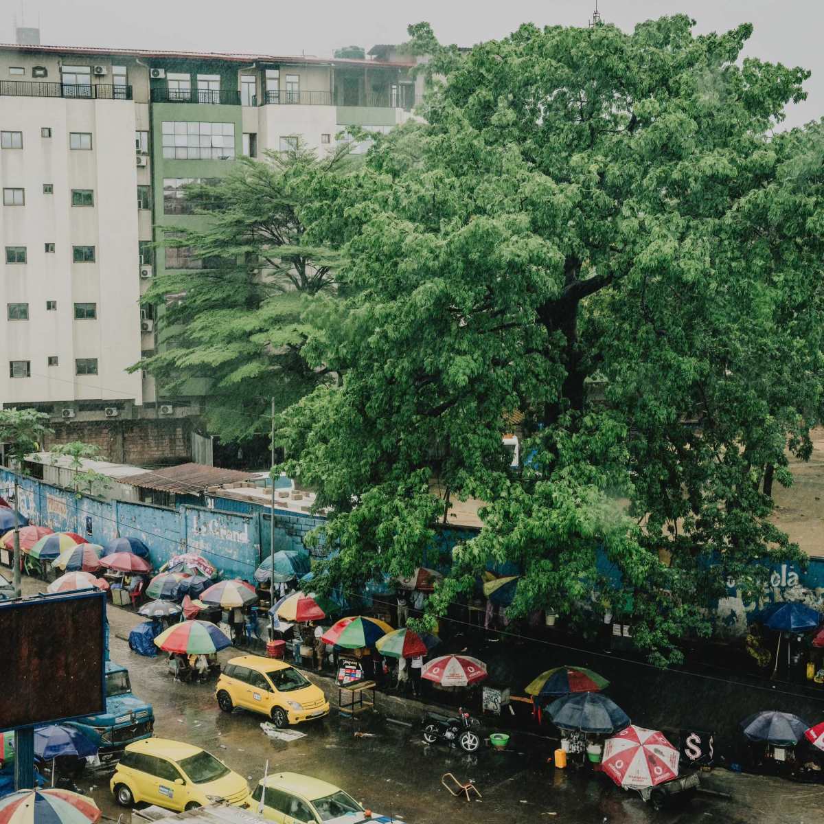 « L’âme de la ville » : le dernier baobab restant de Kinshasa peut-il être sauvé ? – Article The&nbsp;Guardian