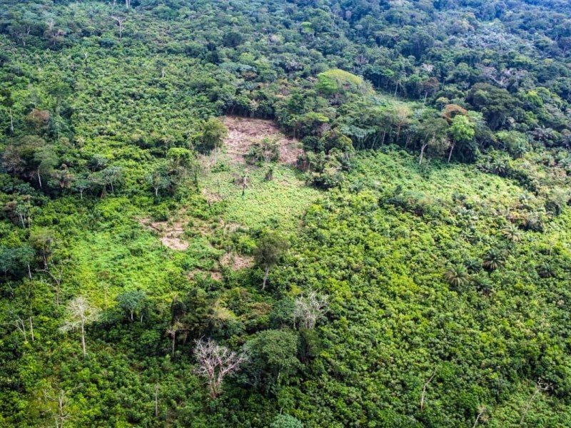 What’s great about the Congo (DRC) and how to be happy here? (AI&nbsp;assisted)