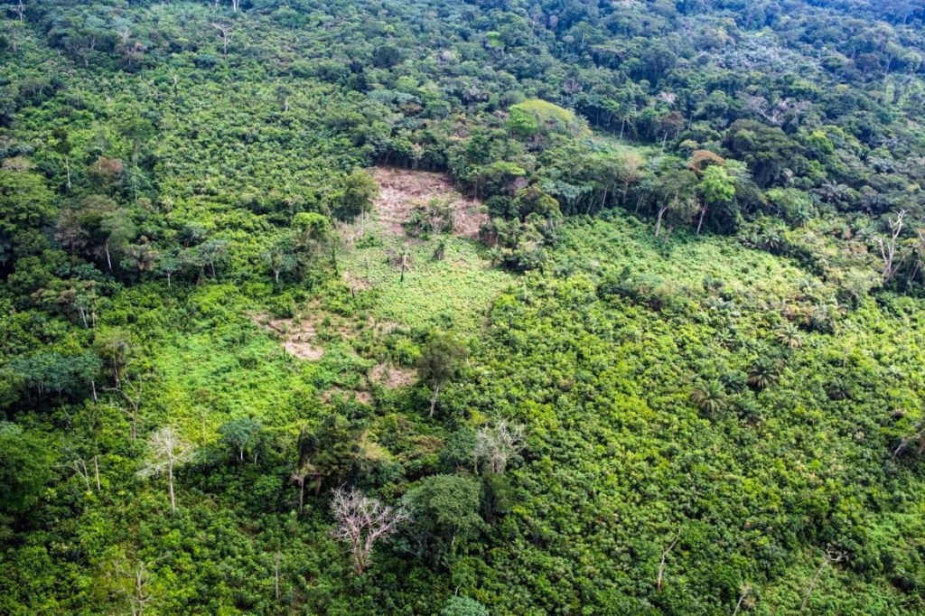 What’s great about the Congo (DRC) and how to be happy here? (AI&nbsp;assisted)